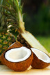 pinacolada cocktail