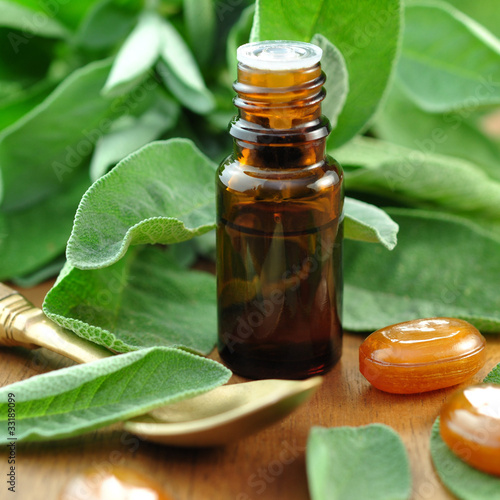 Photo: Sanfte Medizin,Salbei Sanfte Medizin,Salbei