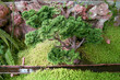 Bonsai japon