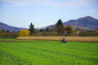 Landwirtschaft