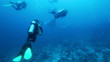 Divers meet mantas on Ari-Atoll manta point, Maldives Divers meet mantas on Ari-Atoll manta point, Maldives