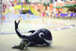 Two whale, large and little, lie alongside in aquapark near pool