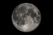 Illustration: The Moon The Moon