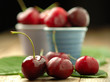 Cherries