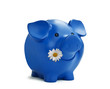Piggy Bank with Clipping Path