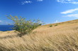 Un air de savane