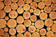 wood logs background wood logs background