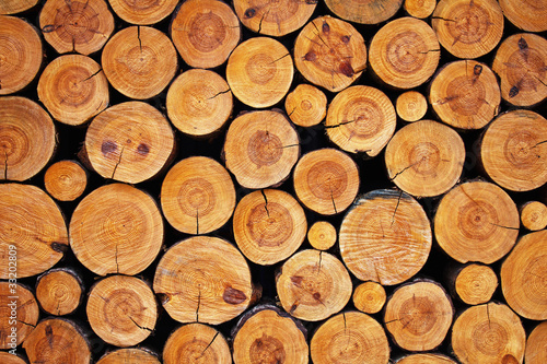 Photo: wood logs background wood logs background