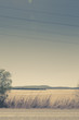 Outback Landscape