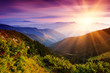 Summer landscape in mountains Summer landscape in mountains