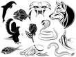 Set of various tattoos