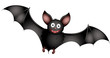 Fledermaus