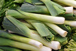 background of leek vegetables
