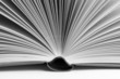 Aufgeschlagenes Buch