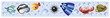 Animali Mare Sfondo Banner-Sea Animal Background-Vector-4