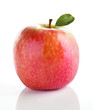 belle pomme rose belle pomme rose