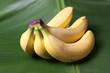 fresh bananas on a bananaleaf