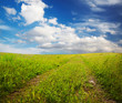 road in the fields