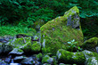 Bach mit Wasser und Steinen im Gebirge