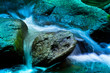 Bach mit Wasser und Steinen im Gebirge