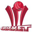 cricket sports ball wicket cricket sports ball wicket
