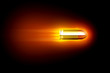 Bullet