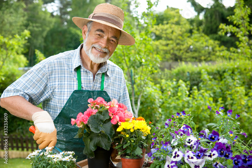 Photo: Senior man with the flowers in his garden Senior man with the flowers in his garden