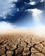 Wasteland Wasteland