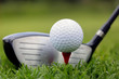 Golf club and ball in grass Golf club and ball in grass
