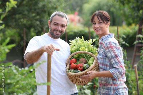 Foto: Couple picking vegetables Couple picking vegetables