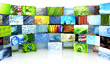 Collection of images