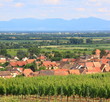 Alsace et forêt noire