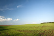 Photo: Rural landscape Rural landscape