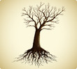 tree with roots