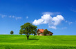 Green nature landscape