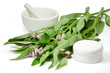 Beinwell mit Cremedose QF