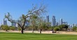 ����: Doha , Grass, Sand and the city � Laala Bachtoula #33253688