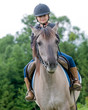 Horse riding - little girl is riding a horse