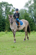 Horse riding - little girl is riding a horse