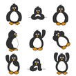 Cute Penguin Set Cute Penguin Set
