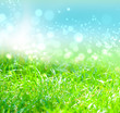 green grass green grass