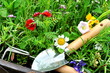 Gartenwerkzeug