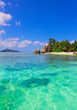 Dream Palms Shore Dream Palms Shore