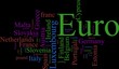 The EURO