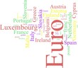 The EURO