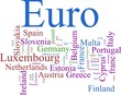 The EURO