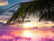Palm Beach Sunset Palm Beach Sunset