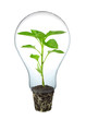 Green energy