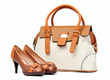 Pair of female shoes and handbag over white background