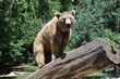 Ours